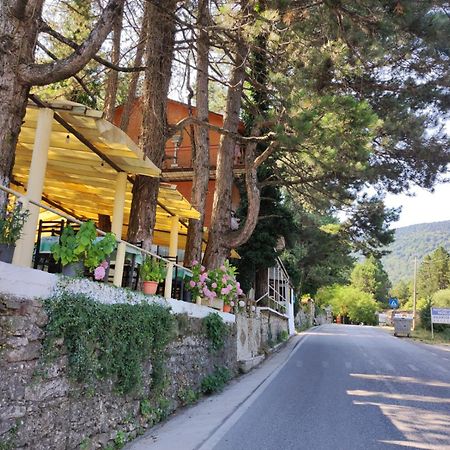Hotel Toni Llogora Dukat Exteriér fotografie