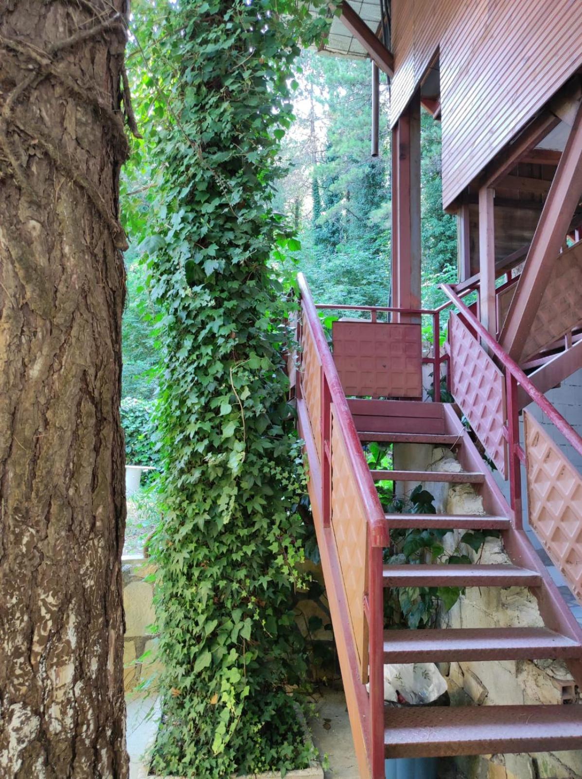 Hotel Toni Llogora Dukat Exteriér fotografie